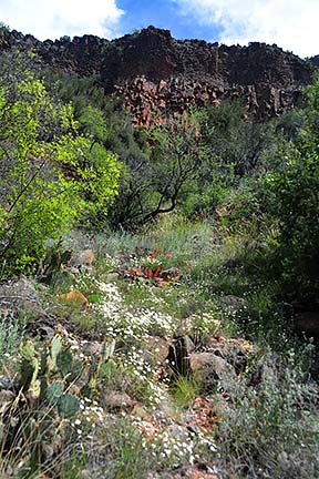 Basalt Flows, Sycamore Canyon, April 16, 2015